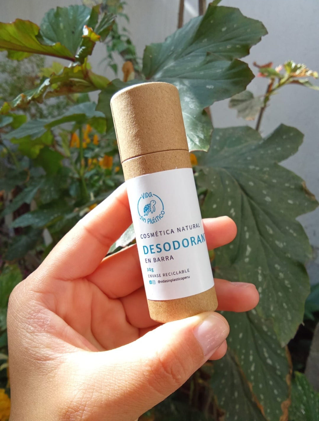 Desodorante en Barra